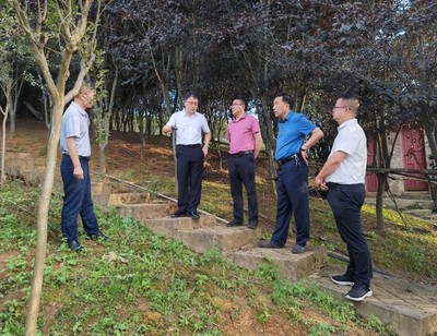 省林業局副局長傅強一行赴施秉縣指導國儲林及林下經濟建設與林業產品銷售工作