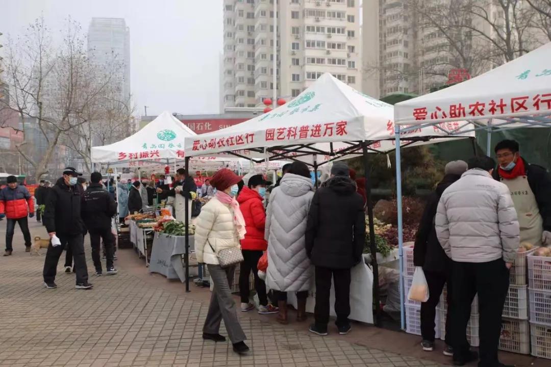 青島園藝市集盛大開集，60余種物美價廉林業產品任您選購