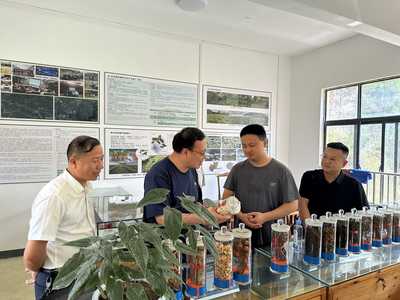 臺江縣林業產業與國有林場改革調研 宗煒副局長強調優化林業產品銷售渠道