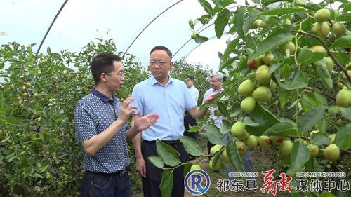 市林業(yè)局深入我縣開展林業(yè)工作調(diào)研 聚焦產(chǎn)業(yè)發(fā)展，助力林產(chǎn)品銷售升級