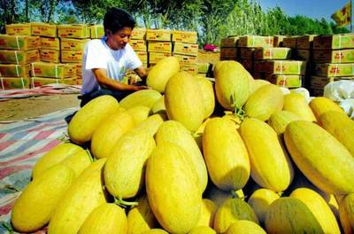 援疆風(fēng)采 步步高援疆行，架起湘吐共富橋